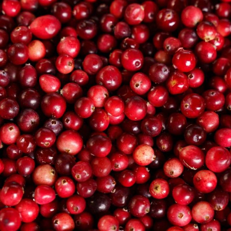 natural solution for women's urinary health