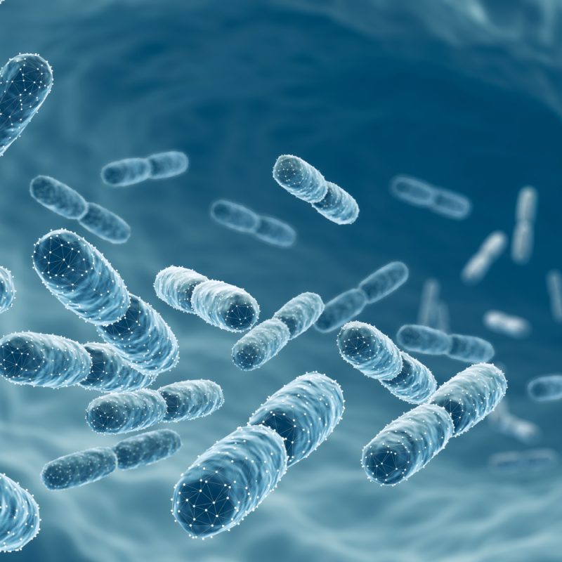 probiotic supplements benefits
