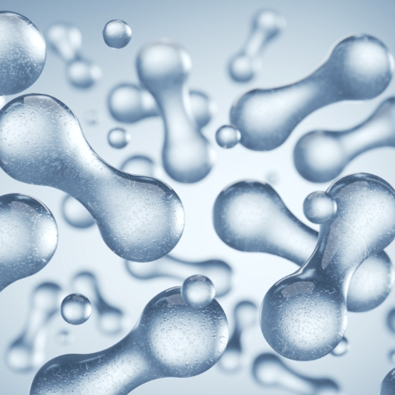 probiotics for inflammation