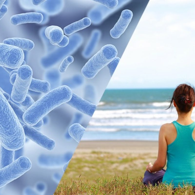 The butterfly effect of Probiotics